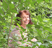 picking berries