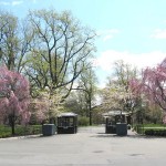 nybg entrance