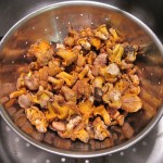 Telluride chanterelles