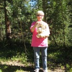 giantPuffball2