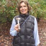 Destroying Angel