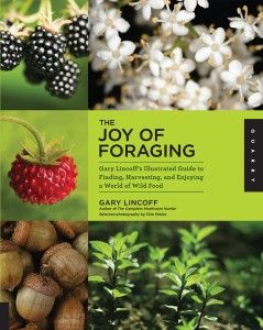 TheJoyOfForaging