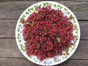 szechuanPeppercorns5