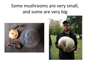 Slide03
