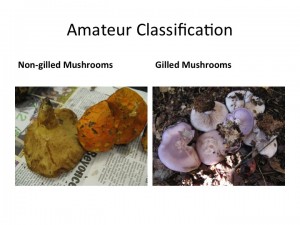 Slide08