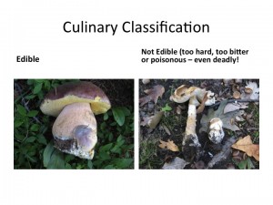Slide09
