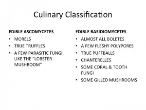 Slide10