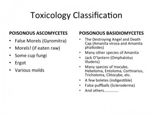 Slide11