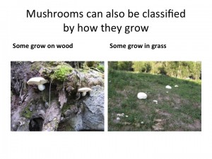 Slide12
