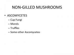Slide14