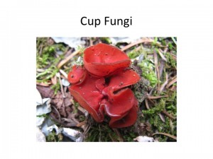 Slide15