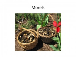 Slide16
