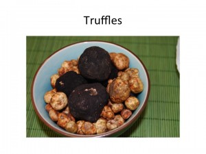 Slide17