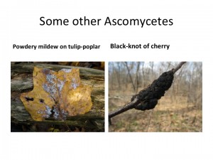 Slide18