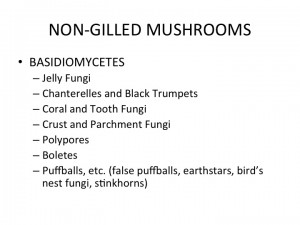 Slide19