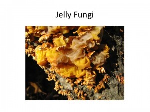 Slide20