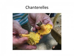 Slide21