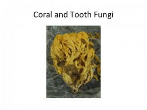 Slide22