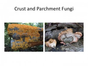 Slide23