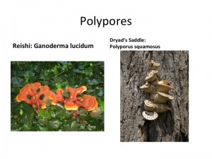 Slide24