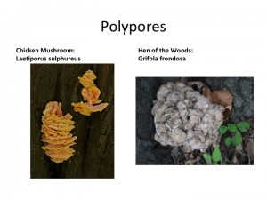 Slide25