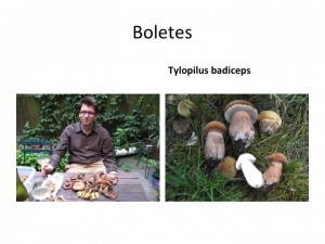 Slide26