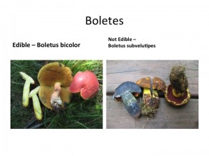 Slide27