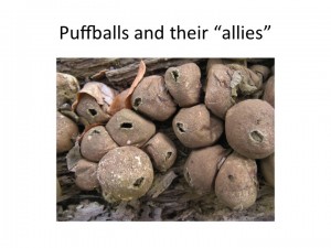 Slide28