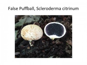 Slide30