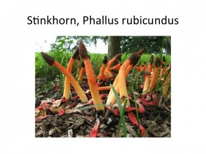 Slide33