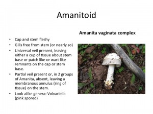 Slide35