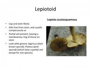 Slide36