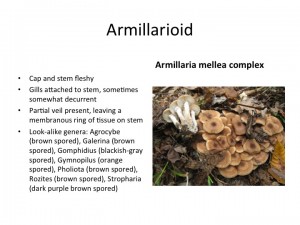 Slide37