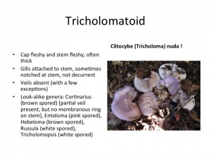 Slide38