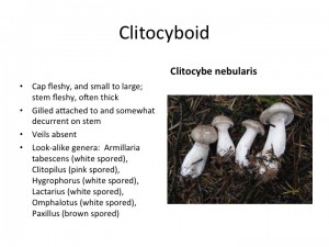 Slide39