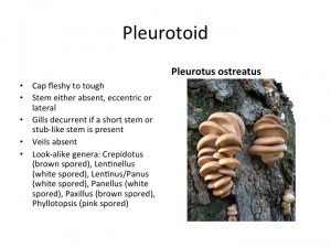 Slide40