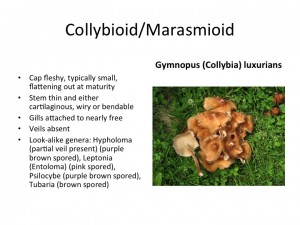 Slide41