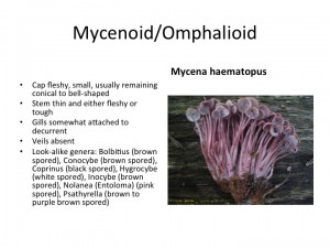 Slide42
