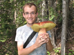 BoletusEdulisCol
