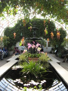 nybgConservatoary