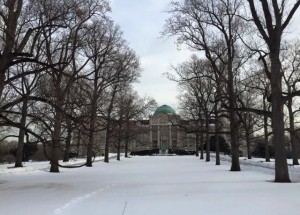 NYBGjan26