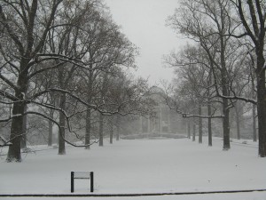 nybgWinter