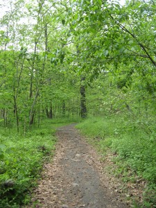johnMuirTrail
