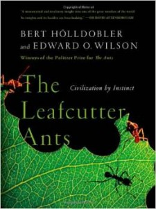 LeafCutterAnts