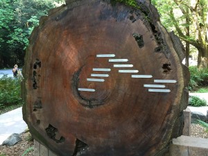 TreeDating