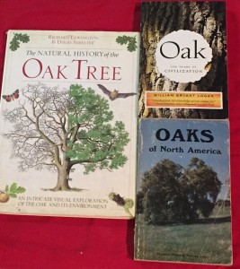oaks