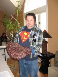 Ganoderma