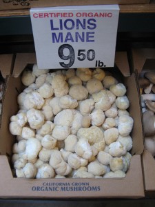 Hericium