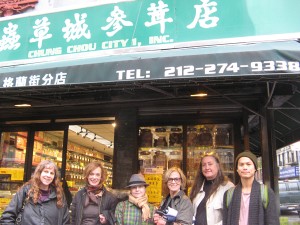 MedMushChinatown