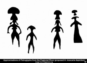 amanita_petroglyph1
